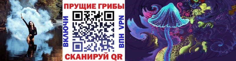 даркнет сайт Заводоуковск Галлюциногенные грибы GOLDEN TEACHER